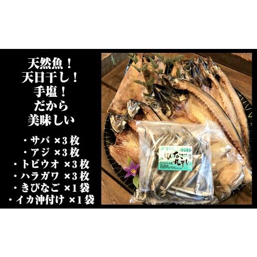 ふるさと納税 鹿児島県 錦江町 No.1084 一代目から続く製法！大満足の旬の干物セット