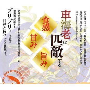 ふるさと納税 G6190_紀州和歌山産 天然 足赤えび 計 1080g 540g×2箱 和歌山県湯浅町