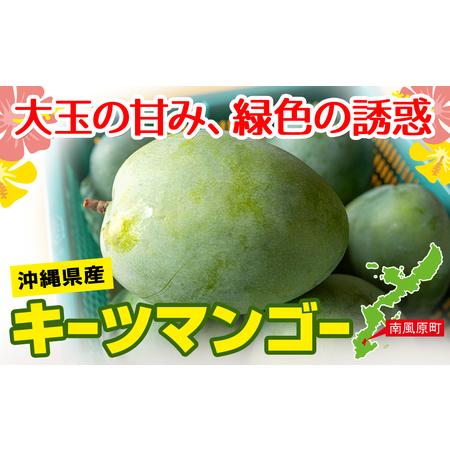 ふるさと納税 南の果実園　キーツマンゴー1.5kg 沖縄県南風原町