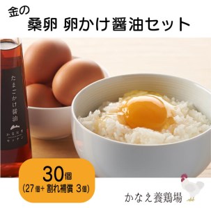 卵 鶏卵 たまご 新鮮 30個 たまごかけ醤油セット 朝採れ たまご 朝食 たまご セット 新鮮 タマゴ