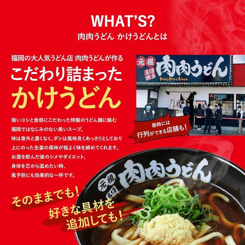 かけうどん 冷食うどん 5食入り