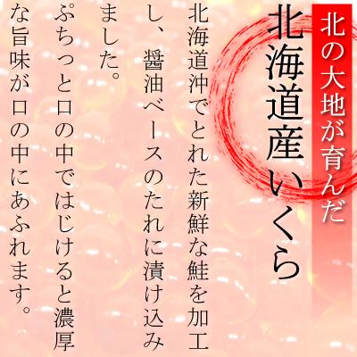 いくら 醤油漬け 500g イクラ 鮭いくら イクラ丼 海鮮丼 北海道 お取り寄せ ギフト グルメ プレゼント 誕生日祝 御祝 御礼 内祝