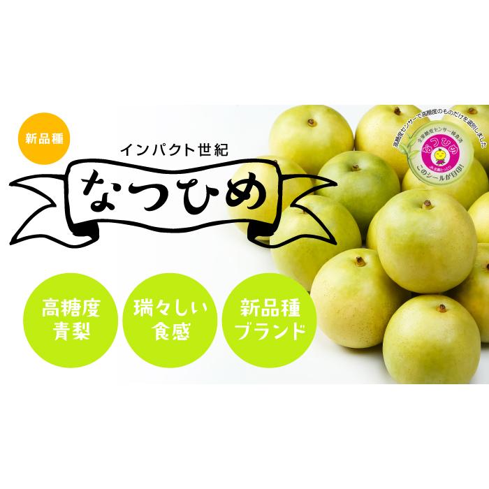 梨 なつひめ 赤秀 8〜18玉 5kg 鳥取県産 ＪＡ鳥取中央 なし ナシ