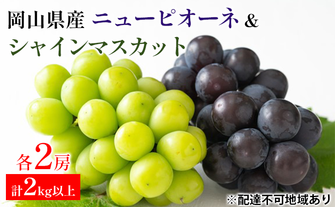 ぶどう 2024年 先行予約 ニュー ピオーネ 2房 シャインマスカット 2房 合計2kg以上 マスカット ブドウ 葡萄  岡山県産 国産 フルーツ 果物 ギフト