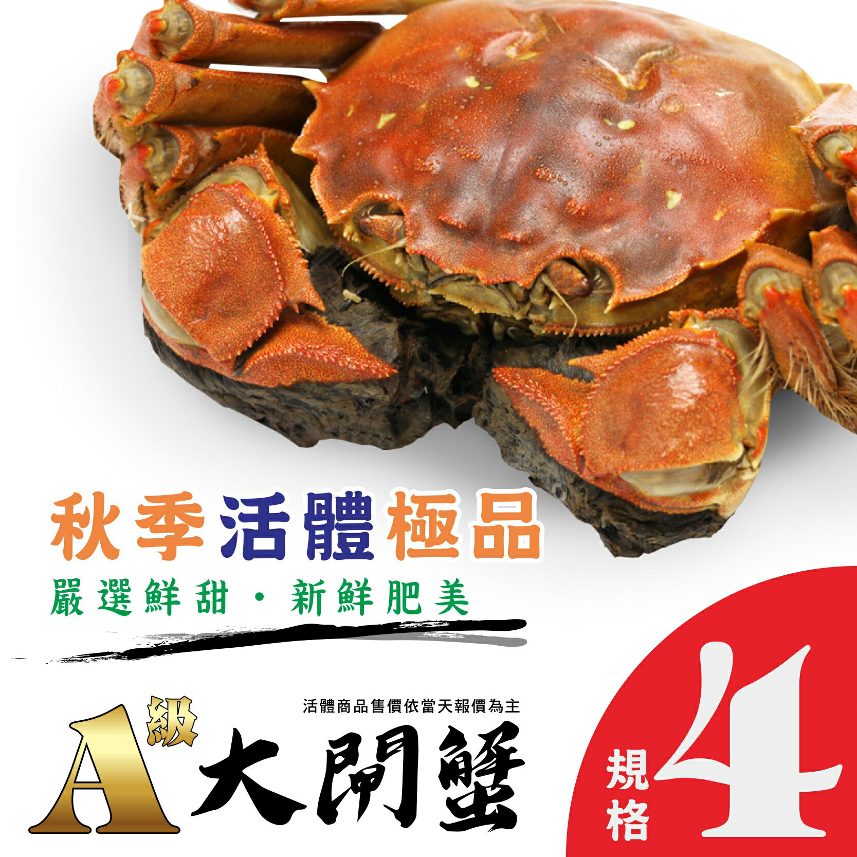 ㊣盅龐水產 ◇A級大閘蟹(規格D 3~3.9兩)◇一組五隻◇平均$240元/隻◇細嫩鮮甜 蟹膏蟹黃 秋蟹