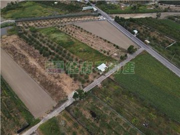 麻豆北勢寮3.2分有機柚子園｜台南市麻豆區北勢寮