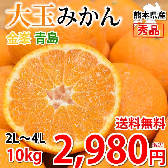 大玉みかん 10kg 2L-4L 秀品 金峯 青島 みかん温州みかん 熊本県産 蜜柑 ミカン