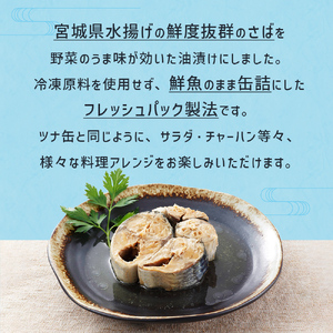 数量限定 サラダサバ 8缶 さば缶 鯖缶  缶詰 さば 油漬け サバ缶 宮城県産 さば缶 木の屋 さば缶