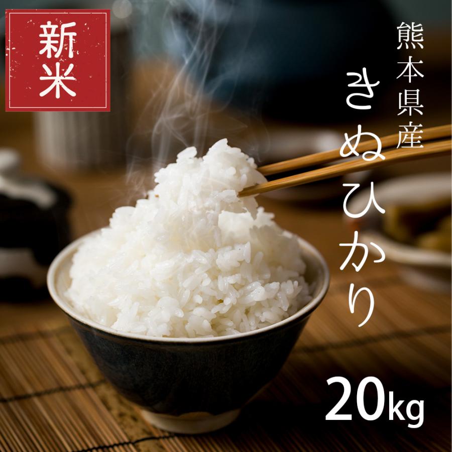 新米  米 お米 20kg キヌヒカリ 熊本県産 令和5年産 玄米20kg 精米18kg きぬひかり