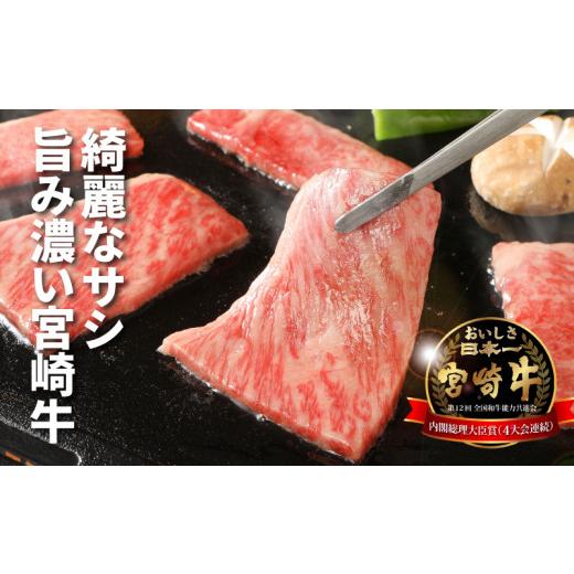 ふるさと納税 宮崎県 木城町 宮崎牛肩ロース焼肉600ｇ K18_0037