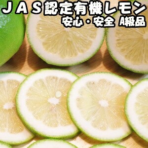 レモン 国産 10kg A品 有機 JAS認証 オーガニック ノーワックス 防腐剤不使用 皮まで食べれる 佐賀 佐藤農場 れもん