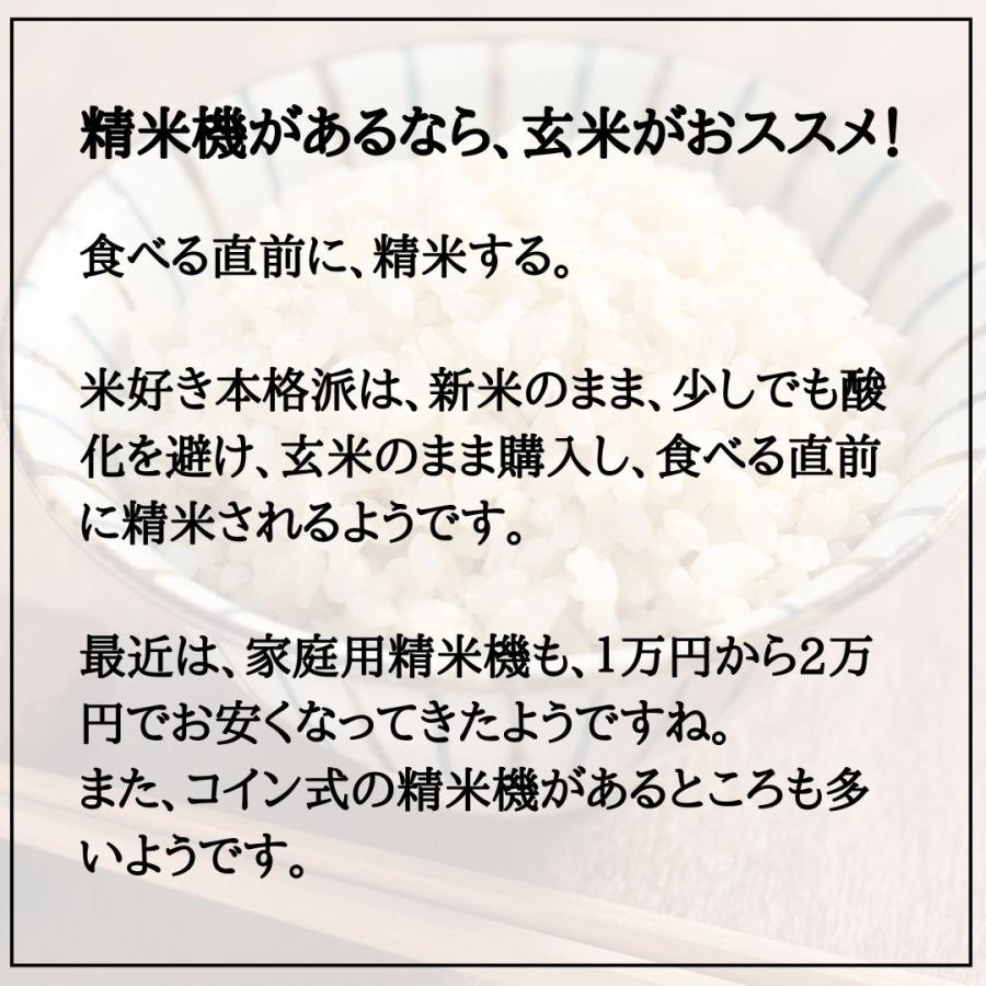 お歳暮に 魚沼産コシヒカリ 新米 令和5年 特別栽培米 お年賀    2kg 産地直送 美味しい米 贈答品 粗品 米 挨拶品 ギフト 贈答用