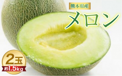 熊本県産 メロン 合計約3kg (約1.5kg×2玉) 肥後グリーンメロン