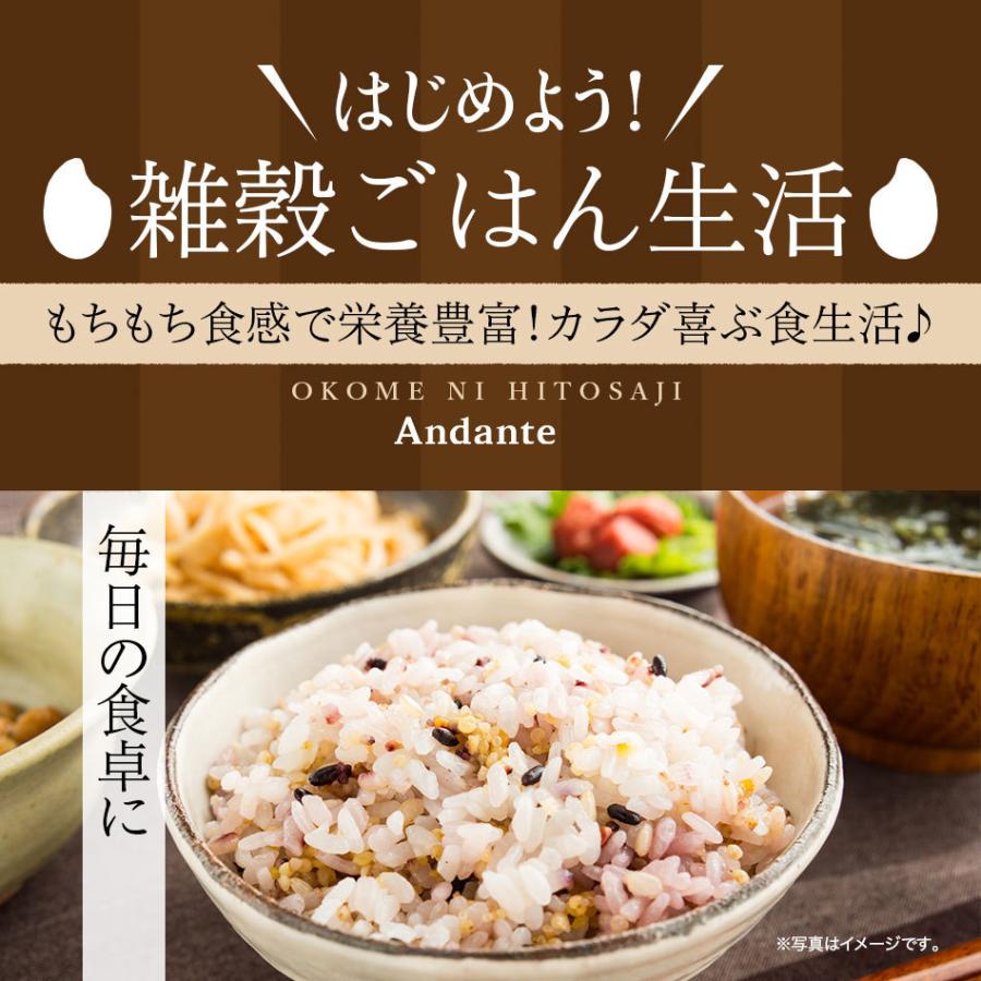 お米にひとさじ 久留米産 6種ブレンド 65g 雑穀米