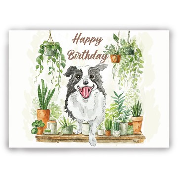 手繪插畫 萬用卡/卡片/明信片/插畫卡/生日卡-微笑生日邊境牧羊犬