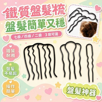 ✨台灣出貨 ✨盤髮梳 盤髮神器 丸子頭髮梳 鐵質髮簪 簡約髮卡 髮插 頭飾花苞 編髮髮簪 簡約花苞編髮件套 編髮工具