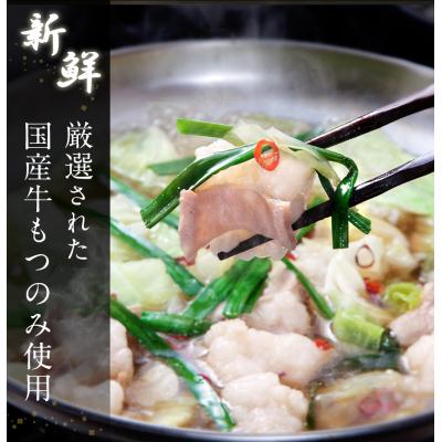 ふるさと納税 古賀市 「鶏家」の特選もつ鍋セット(3〜4人前)