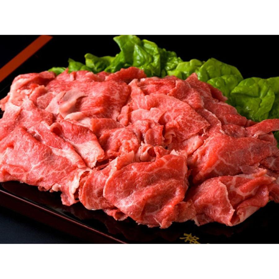 Kanzaki (格之進)厳選国産牛肉切り落とし 2kg(250g×8)