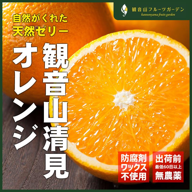 清見オレンジ 清らかに A級品 1kg 和歌山 観音山フルーツガーデン 送料無料