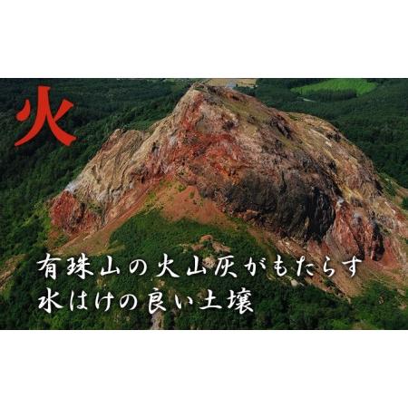 ふるさと納税 北海道壮瞥産　ななつぼし　計60kg（20kg×3ヵ月定期配送） 北海道壮瞥町