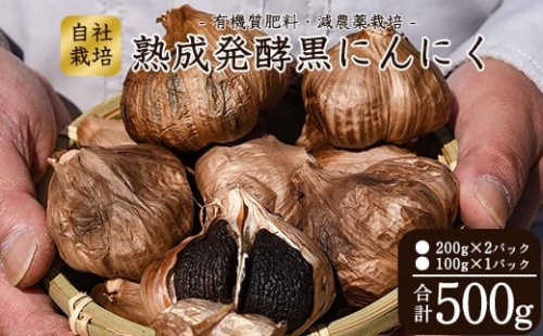 こだわり農家の減農薬栽培「発酵熟成 黒にんにく」500g 山形県産 012-G