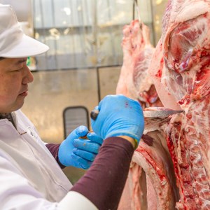  焼肉用カルビ400g