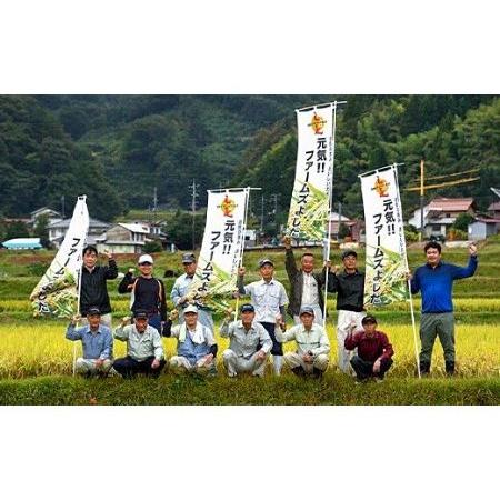 ふるさと納税 島根県雲南市「吉田げんき米」きぬむすめ20kg（5kg×4） 島根県雲南市