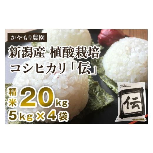 ふるさと納税 新潟県 加茂市 新潟産コシヒカリ「伝」白米真空パック 精米20kg（5kg×4）南麻布の高級料亭で提供される極上米 かやもり農園