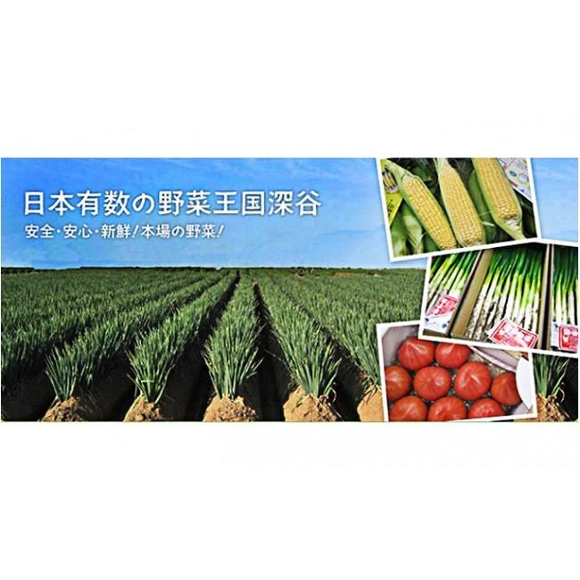 ふるさと納税 埼玉県 深谷市 旬のラッキー７野菜セット（野菜７種詰合せ）　