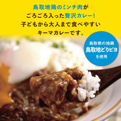 ふるさと納税 鳥取市 鳥取地鶏使用キーマカレー 5個セット