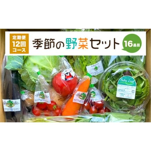 ふるさと納税 熊本県 八代市  季節の野菜セット 16品目