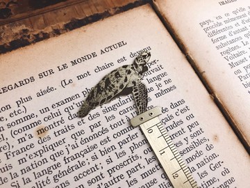【臍加厝】文具系列│手工黃銅動物書籤尺│進階款海龜