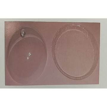 【大正餐具批發】台灣製 壓克力透明圓形展示組 食品蓋 圓展示蓋 圓展示盤 防塵蓋 蛋糕蓋