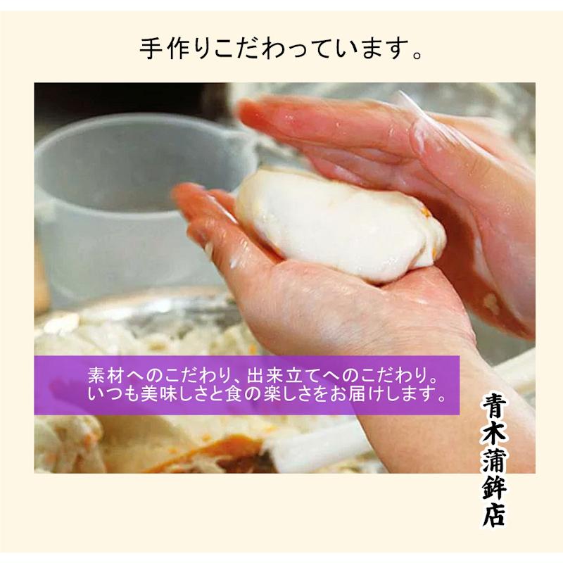 かまぼこ 愛媛県瀬戸内 青木かまぼこ店 かまぼこ ちくわ 魚介の詰合せ 手作りかまぼこ 渚ギフト