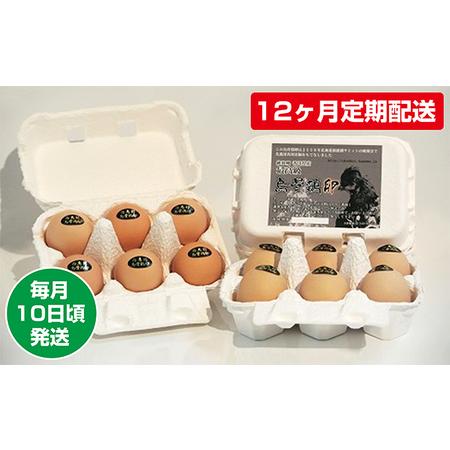 ふるさと納税 烏骨鶏卵 毎月10日頃発送 香川県東かがわ市