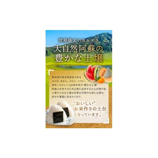 ふるさと納税 熊本県 玉名市 森のくまさん 無洗米 15kg （5kg×3袋）×3回