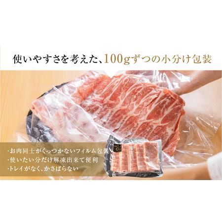 ふるさと納税 国産 豚肉 食べ比べ 500g × 計 1.5kg しゃぶしゃぶ用 ロース 肩ロース バラ 冷凍 田原ポーク 小分け 100g ずつ 個包装 愛知県田原市