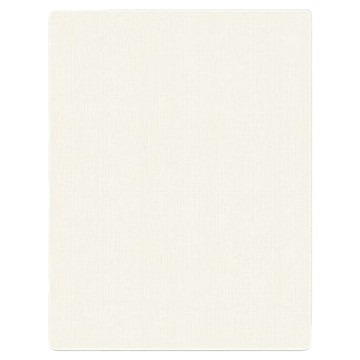 DING DONG PET 寵物防滑防水地墊  乳白色  1個  大(240 x 140cm)