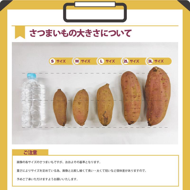 Mサイズ 20kg 紅はるか さつまいも,さつま 芋 野菜 - 野菜