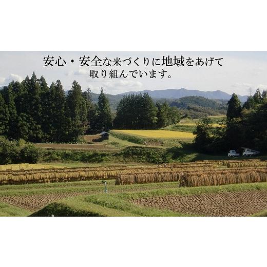 ふるさと納税 岩手県 奥州市 江刺金札米ひとめぼれ 無洗パック米 5kg 令和5年産 新米 特別栽培米