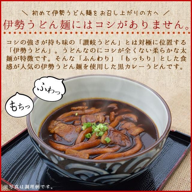 黒カレー 伊勢うどん お徳用 １０食入 送料無料 伊勢 名物 伊勢うどん の太麺にカレールーが絡む 10種のスパイスと和風だしの効いた本格ピリ辛大人味