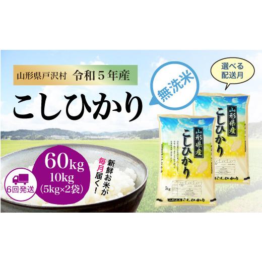 令和5年産 コシヒカリ  定期便 60?（10kg×1カ月間隔で6回お届け） ＜配送時期指定可＞ 山形県 戸沢村