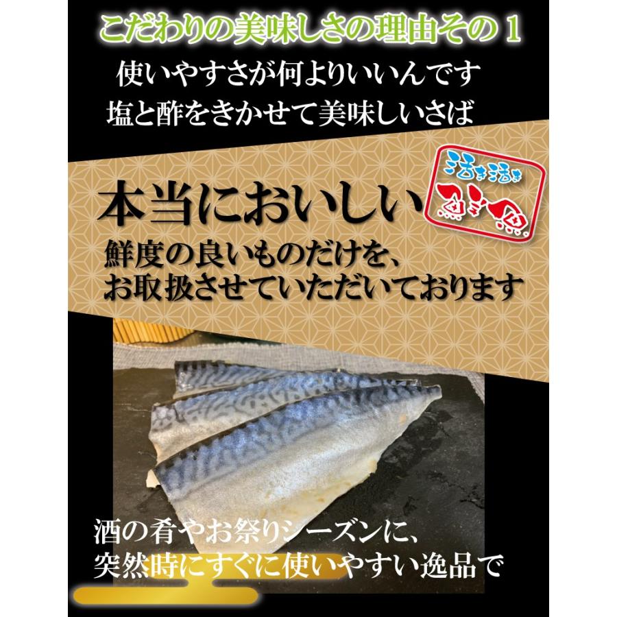 しめ鯖 さば しめサバ 鯖 バッテラ用 おつまみ 酢〆さば 片身５枚×2パック まとめ買い 〆サバ 鯖 バッテラ