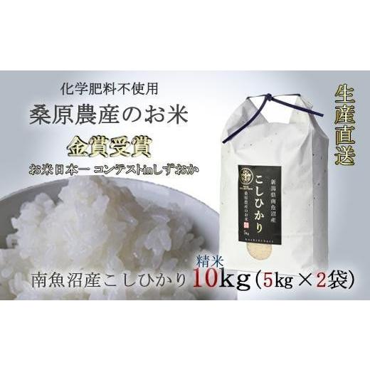 ふるさと納税 新潟県 南魚沼市 桑原農産のお米10kg(5kg×2)　南魚沼産こしひかり