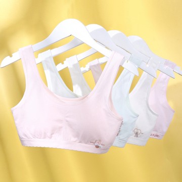 威妮 無縫少女二階內衣 寛肩帶 蠶絲內里 3倍親膚 509 內衣超市