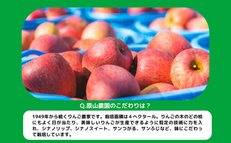 りんご サンふじ 訳あり 10kg 原山農園 沖縄県への配送不可 2023年12月中旬頃から2024年2月上旬頃まで順次発送予定 令和5年度収穫分 傷 不揃い リンゴ 林檎 果物 フルーツ 信州 長野 17000円 予約 農家直送 長野県 飯綱町 [0270]