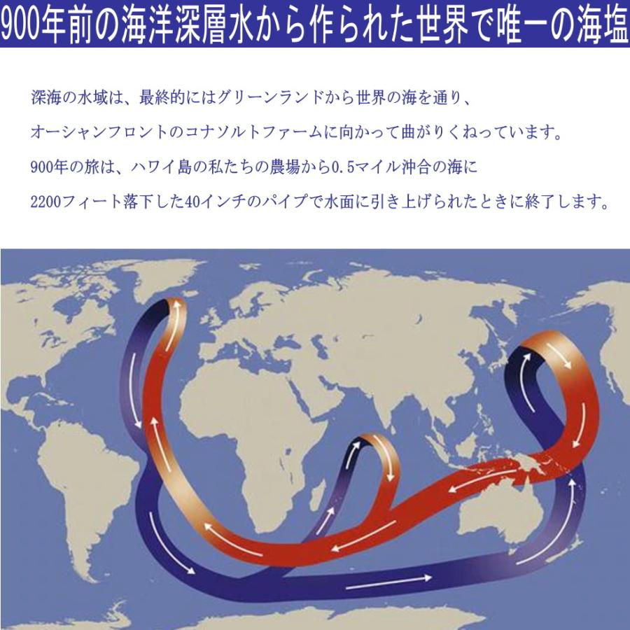 塩 ピュアコナシーソルト(ミディアムグラインドポーチ170g×3袋 ） 900年前の海洋深層水から作られた世界で唯一の海塩