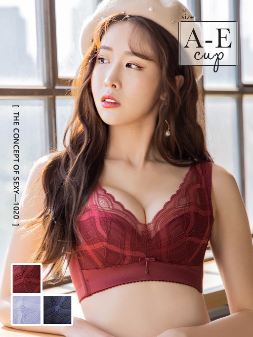 Bra189 無鋼圈典雅黛妃調整型內衣單件 3色