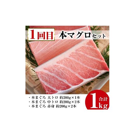 ふるさと納税 鹿児島県 いちき串木野市 PT-001いちき串木野プレミアム定期便（マグロ・鰻・牛肉）