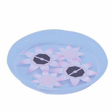 🌈「探夢科學」兒童diy科學實驗水中綻放的紙花物理教具幼稚園科技小製作玩具